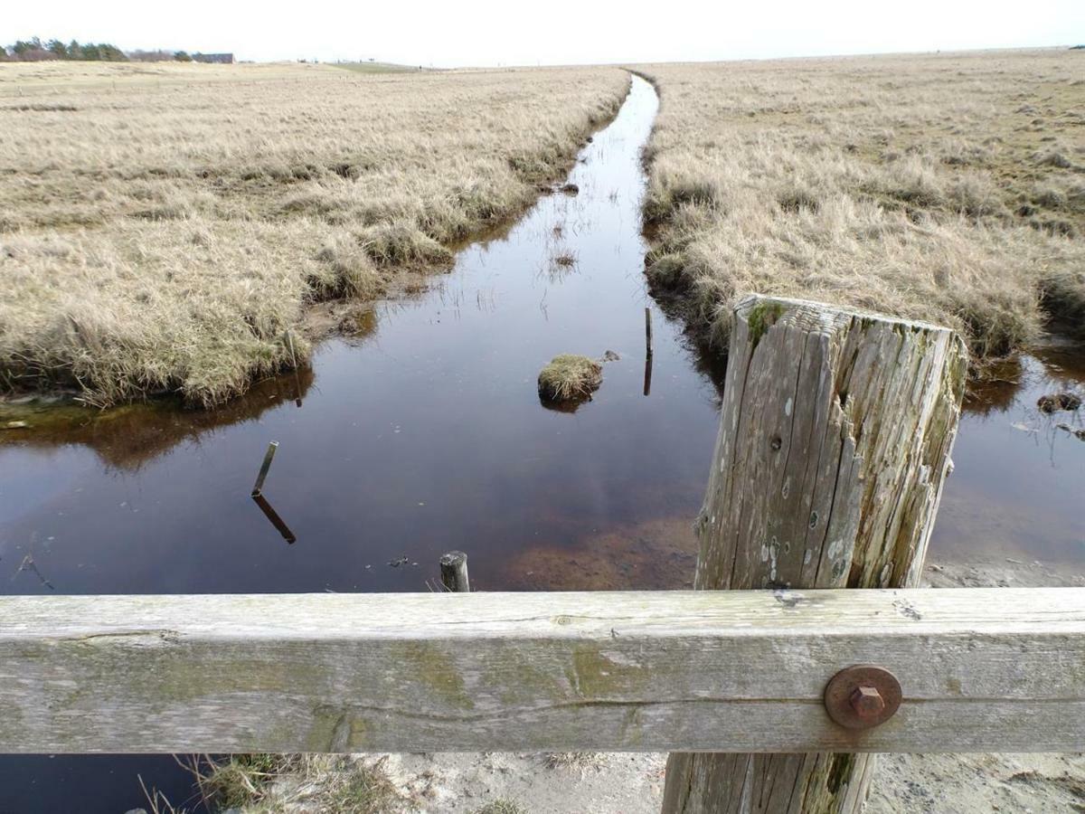 Dietrichs Wentzelhof Sankt Peter-Ording Exteriör bild