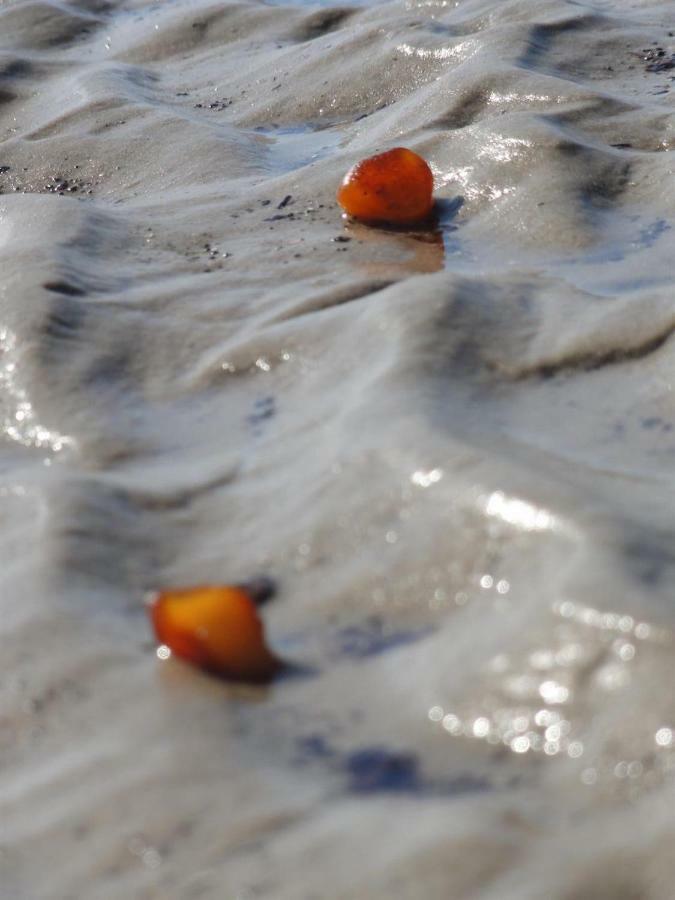 Dietrichs Wentzelhof Sankt Peter-Ording Exteriör bild